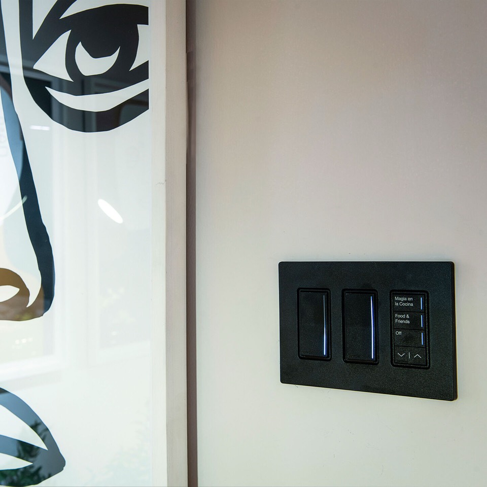 Installed dark-finish Lutron controls and scene keypad
